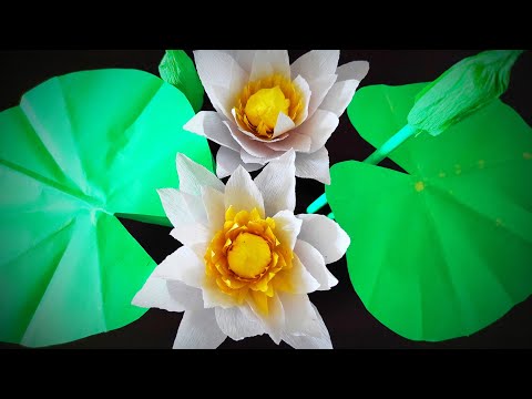 How to make/create water lily #crepe paper flower #paper craft #DIY paper flower #kids craft ideas