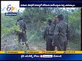 8 Naxals Including 3 Women Killed In Encounter In Chhattisgarh S Bijapur District