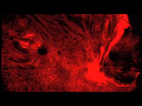O Yuki Conjugate - Sunchemical (Sulphur remix)