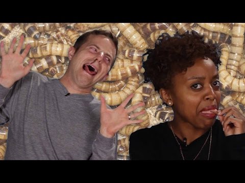 People Eat Bugs For The First Time