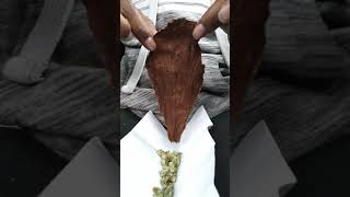 Rolling a Grabba Leaf! ((Fronto vs. Grabba leaf?))
