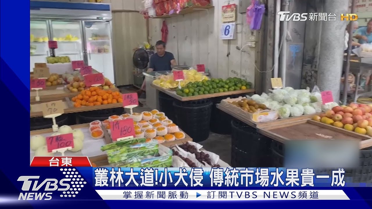 叢林大道!小犬侵襲 傳統市場水果貴一成