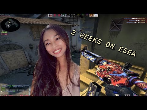 my 2 week ESEA experience