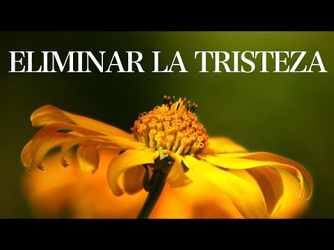 Guided Meditation to Manage Negative Thoughts