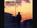 Counting Crows - Big yellow taxi
