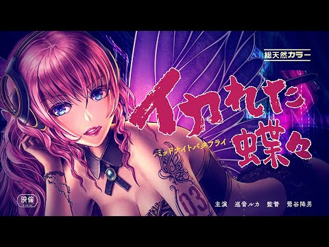 Ikareta Chouchou -Midnight Butterfly-