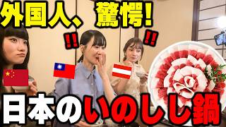 日本はイノシシ食べるの！？人生初のイノシシ鍋を食べた外国人が衝撃を受けました…豚肉と全く違う…