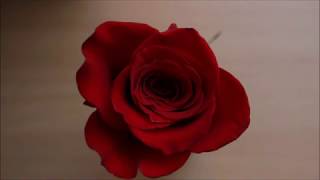 Change your life while you still have the chance.