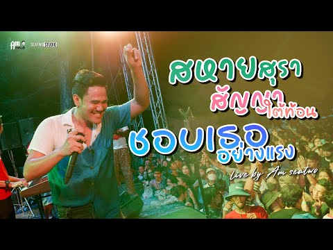 สหายสุรา + สัญญาใต้ท้อน + ชอบเธออย่างแรง (Am seatwo Live รถไฟดนตรี#9)