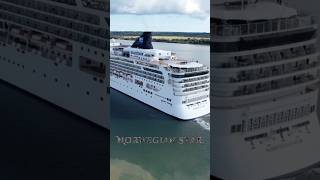This Cruise Ship Is Loved! #cruiseship #shorts