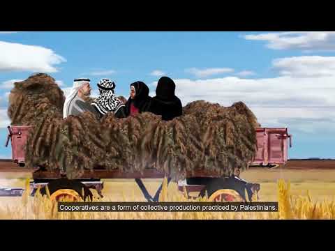 تاريخ التعاونيات