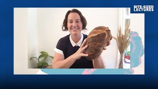 The science behind sourdough thumbnail
