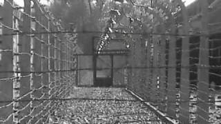 Auschwitz - Obóz zagłady