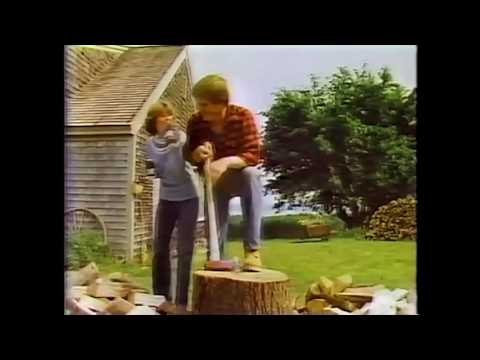 GENESEE CREAM ALE 1981