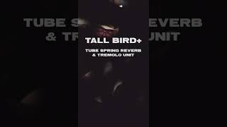 Video thumbnail for Coming Soon: the Tall Bird Plus by Benson Amps
