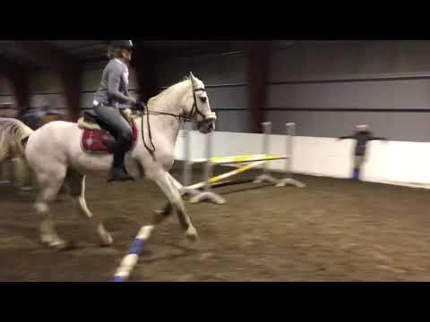 Rockmount Odyssey, trening 20.11.18