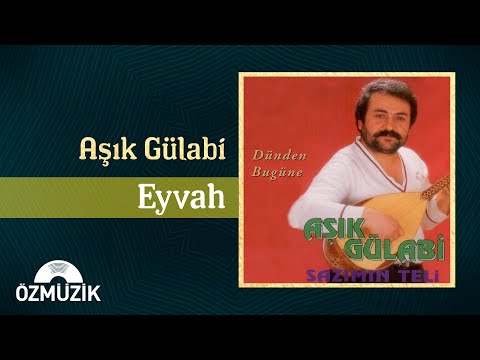 Video Yükleniyor...