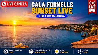 🌞Mallorca Webcam Paguera Cala Fornells | 24/7 Stream | 4K UHD #mallorca  #calvia  #balearic #weather