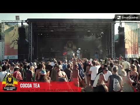 Cocoa Tea beim Black Forest on Fire Reggae Festival 2018 in Berghaupten