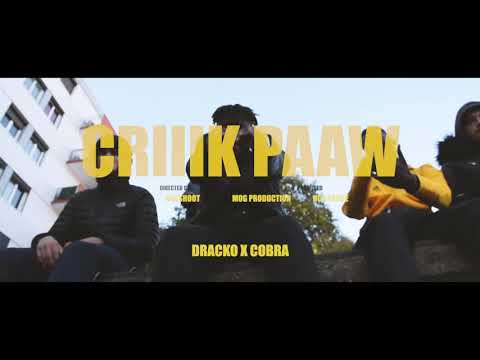 DRACKO X COBRA - CRIIIK PAAW