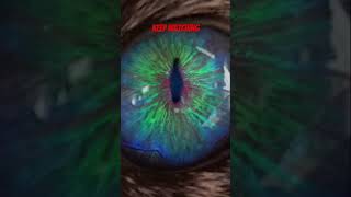 Download lagu Terus Menonton-Lagu yang dibawakan oleh Ben Caplan “Burung dengan Sayap Patah” #kucing #mata #luar angkasa #dewa #ai #menyenangkan mp3 Download lagu Terus Menonton-Lagu yang dibawakan oleh Ben Caplan “Burung dengan Sayap Patah” #kucing #mata #luar angkasa #dewa #ai #menyenangkan mp3