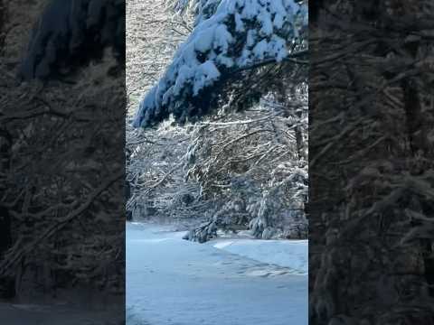 Życie nie jest kolorowe 💖#przesłanie ❤️💖❤️💖❤️💖❤️💖❤️💖