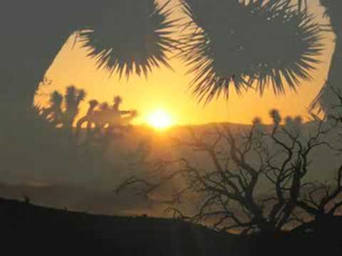 Desert Sunrise by Mark Barnwell