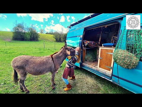 Lotta reist mit ihrem Esel Jonny im Van durch Europa
