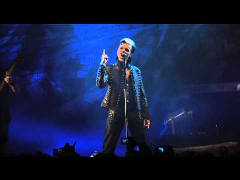 Irgendein Arsch ist immer unterwegs dvd mexico city