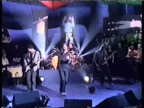 Reef - Come Back Brighter Live