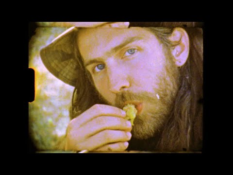 beluga stone - food&