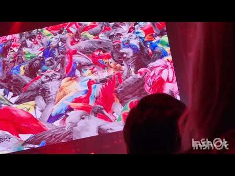 Olympic - Pták Rosomák - 60. let na scéně - O2 - 18.12.2023