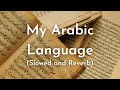 My Arabic Language | Arabi | Slowed and Reverb | Muhammad Al Muqit | Lofi