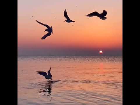 Hakkı Bulut - Yıllara Dargınım.