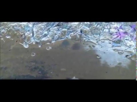 DRAGON GRIS   La Septima Puerta Oficial 2015 360p