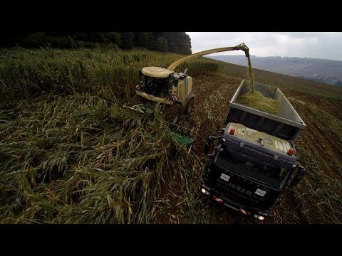 Landtechnik HX - LU Mikus bei der Lagermaisernte