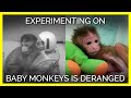 Today's Experiments on Monkeys Are Just as Cruel As They Were 70 Years Ago