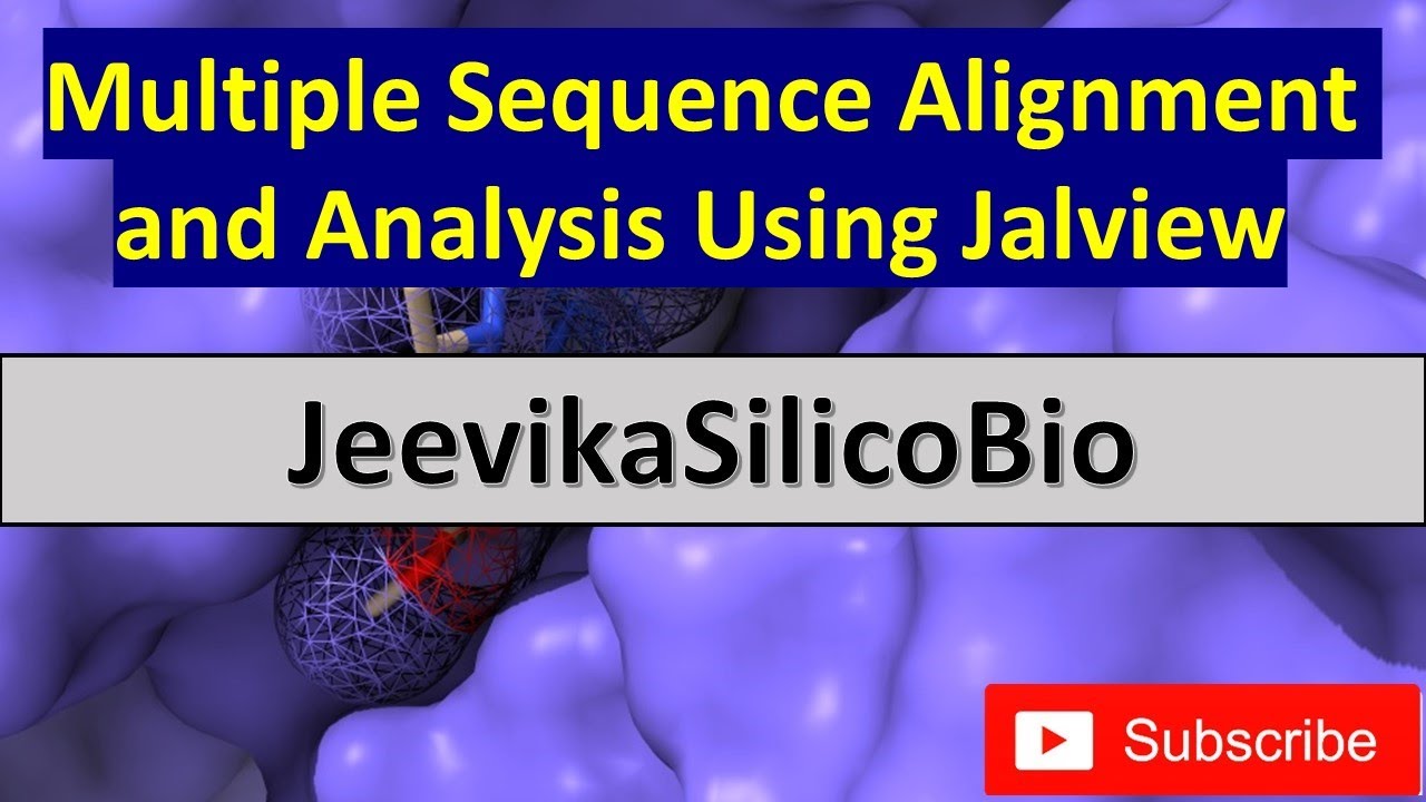 Multiple Sequence Alignment using Jalview