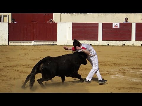 🟢 Concurso con TOROS BRAVOS  Jóvenes Promesas Olmedo 2022