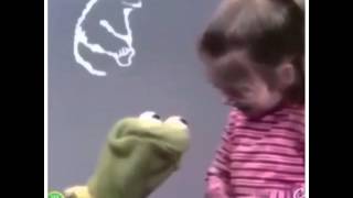Q R Cookie Monster Vine- Kermit Suicide Vine