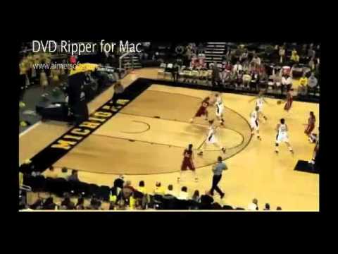 Schroll Snapshot of Strengths