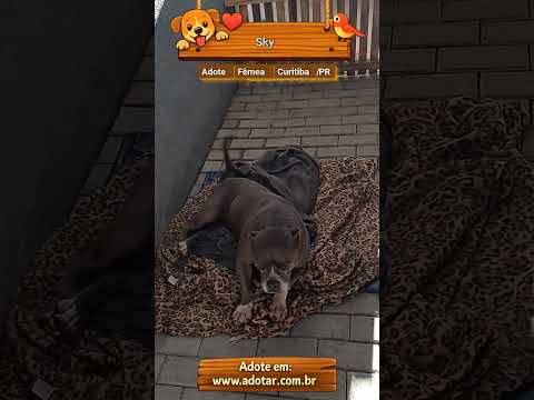 Vídeo de Sky