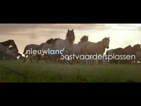 Nieuwland Nationaal park