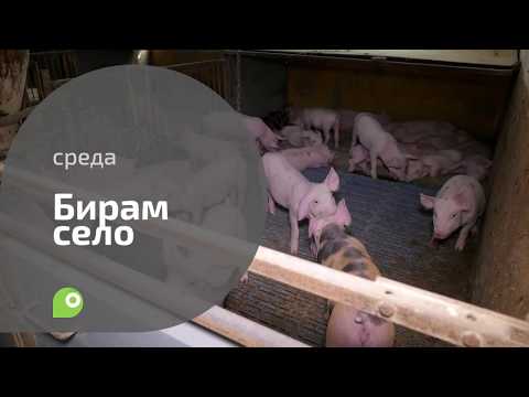 Biram selo 26.02.2020. NAJAVA