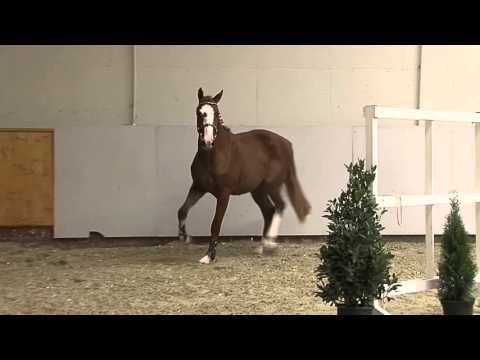 H v Christian x Balou du Rouet