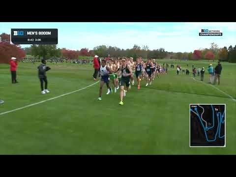 Men's Championship 8K - Big Ten Cross Country Championships 2025 [Full Race Replay]