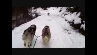 preview picture of video 'ski joëring les Charbonnieres'