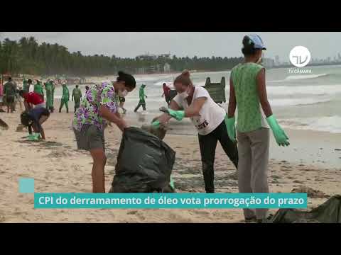 CPI do derramamento de óleo vota prorrogação do prazo - 24/03/21