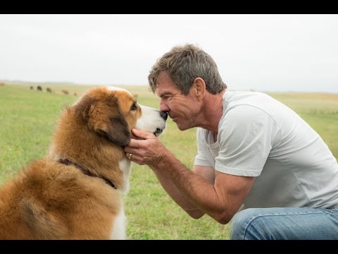 A DOG'S PURPOSE | Official Trailer | Universal Pictures Canada