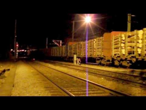 M 47844 {madeira} Tui-Leirosa Celbi (Devesas - 15.11.13)